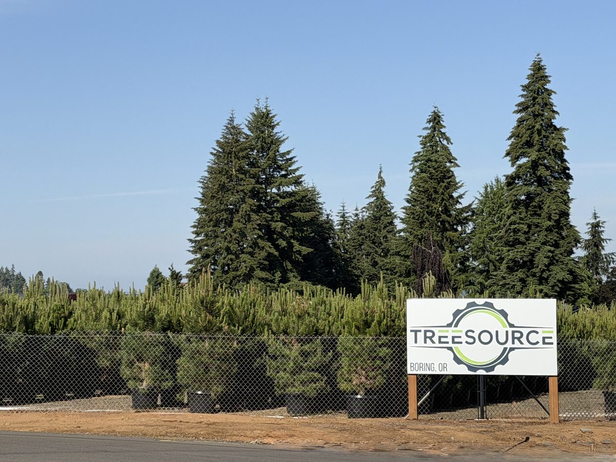Tree Source Boring, Oregon sign in front of a stand of conifers